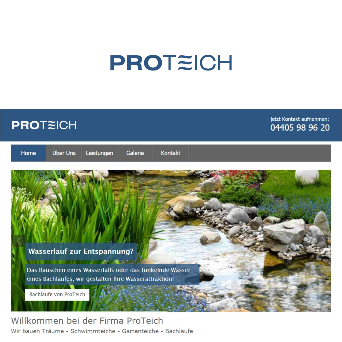 Logo Design by DesignMonkeyBH for ProTeich | Design #17463559