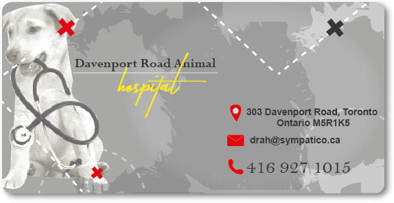 Business Card Design by soukaina ali for Davenport Road Animal Hospital | Design #17571741