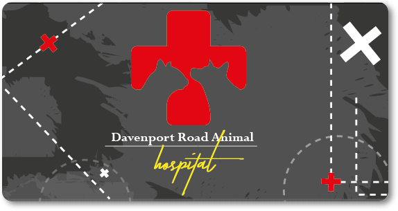 Business Card Design by soukaina ali for Davenport Road Animal Hospital | Design #17571742