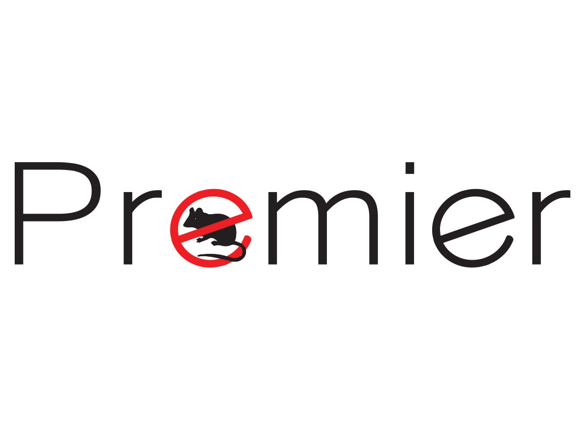 Logo-Design von pinto für dieses Projekt | Design #2722315