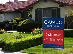 Logo Design by MicroZ for Cameo Real Estate | Design: #2739183
