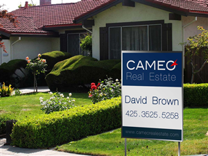 Logo Design by MicroZ for Cameo Real Estate | Design: #2739223