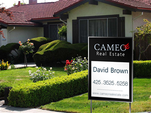 Logo Design by MicroZ for Cameo Real Estate | Design: #2739281