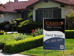 Logo Design by MicroZ for Cameo Real Estate | Design: #2739301