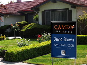 Logo Design by MicroZ for Cameo Real Estate | Design: #2739309