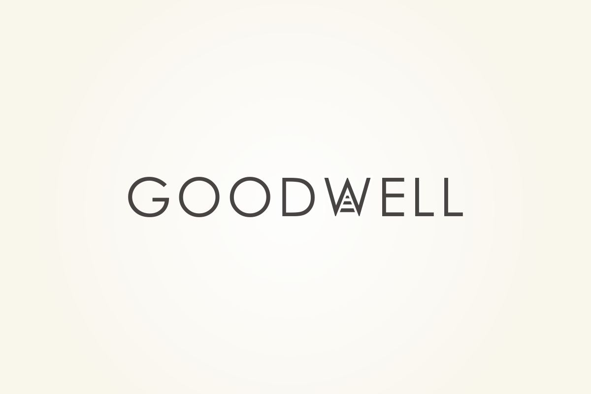 Logo Design by Silverfox Studio for this project | Design #2788047