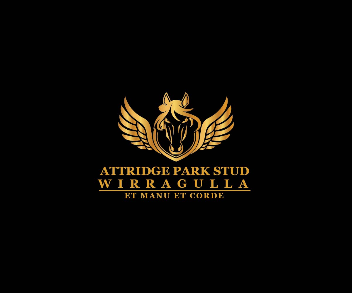 Logo Design by joliau for Titan Executive Services Pty Ltd | Design #17461556