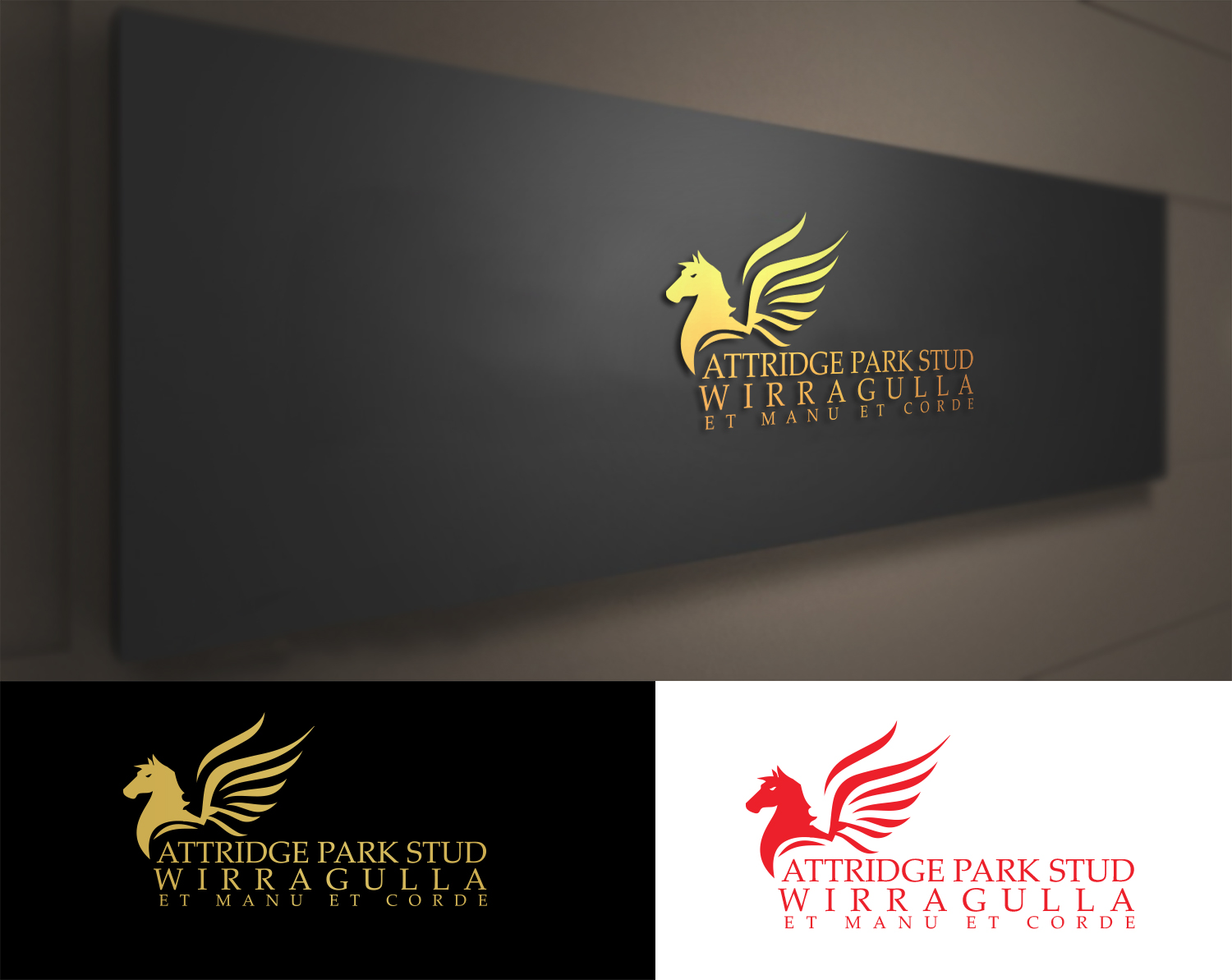 Logo Design by Impressive Solutions for Titan Executive Services Pty Ltd | Design #17468509