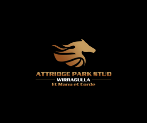 Diseño de Logo por sunpris para Titan Executive Services Pty Ltd | Diseño: #17460850