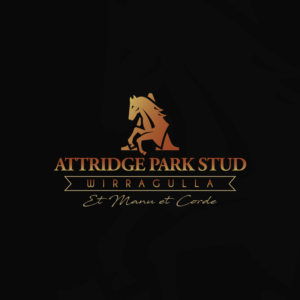 Logo Design by Valtti Design