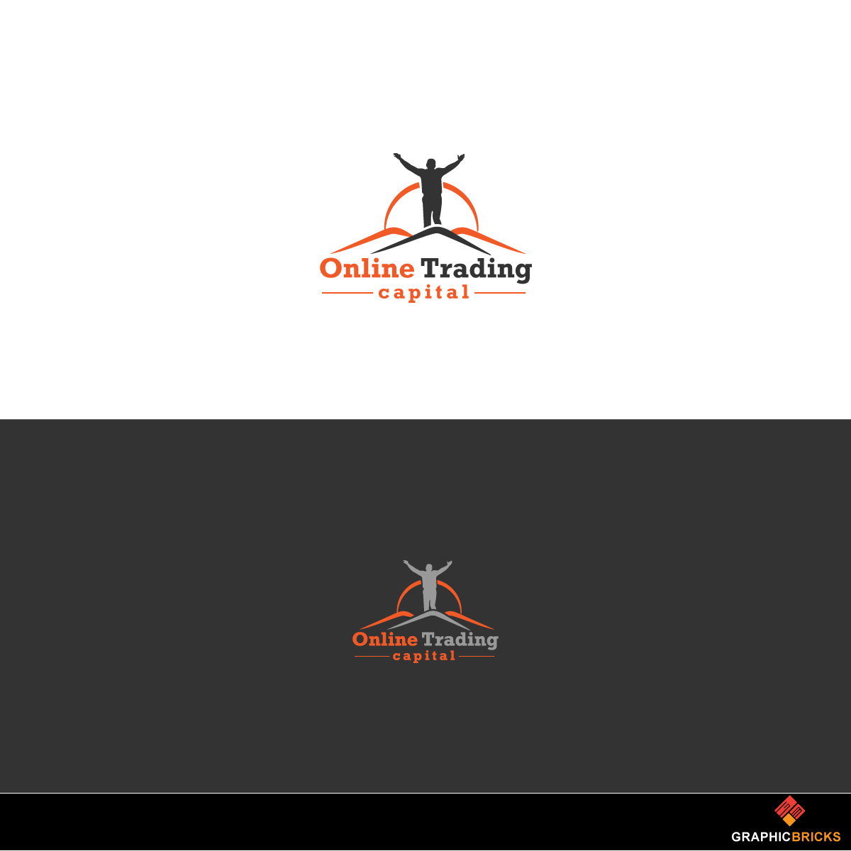 Logo Design by Graphic Bricks for this project | Design #17491361