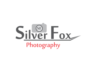 Logo Design by Mohan5