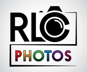 Logo Design by BluSilva ArtDesign