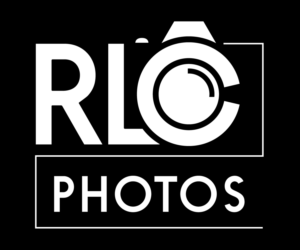 Diseño de Logo por BluSilva ArtDesign para este proyecto | Diseño: #17646810