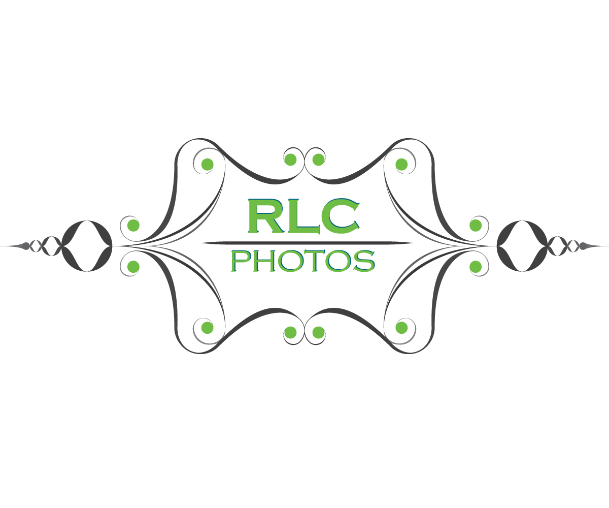 Logo Design by deemonn for this project | Design #17519135