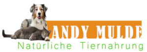Logo Design by geosoft technology