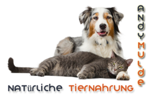 Design de Logo par geosoft technology pour Dog-Shop.de / Andy Mulde | Design : #17468219