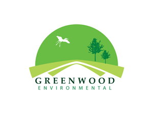 Logo Design by Anil