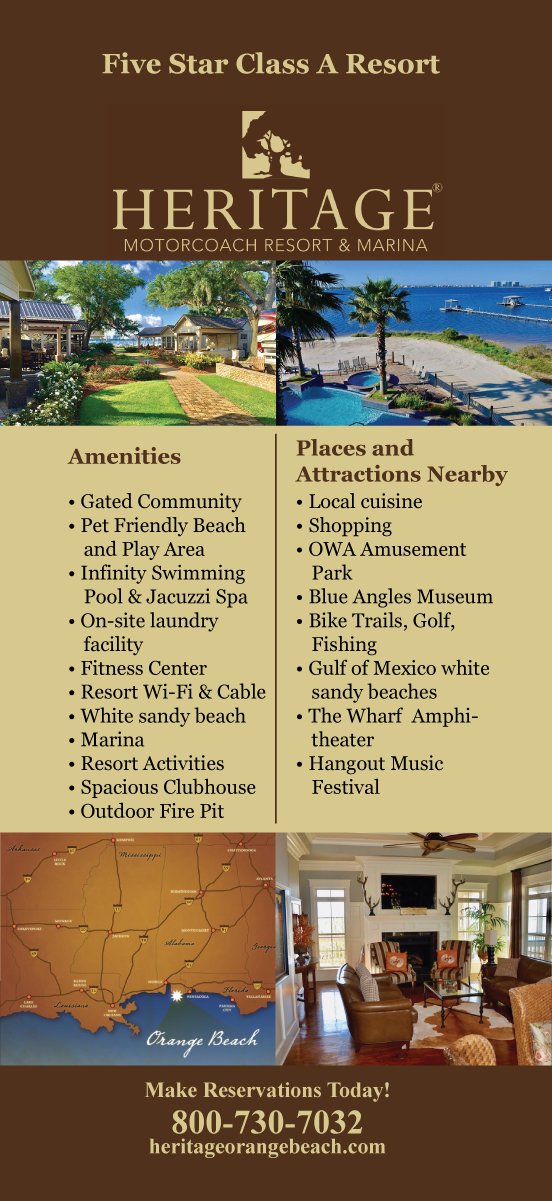 Flyer Design by Sergio Coelho for this project | Design #17492706