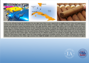 Flyer Design by cornel888 for L A    T r a v e l | Design: #17476679