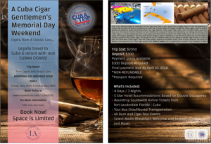 Flyer Design by Mansi Shah_27 for L A    T r a v e l | Design #17485046