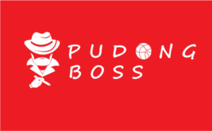 Logo Design by Himanshi10 for this project | Design #17490307