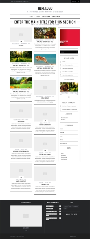 Wordpress design for public figure website