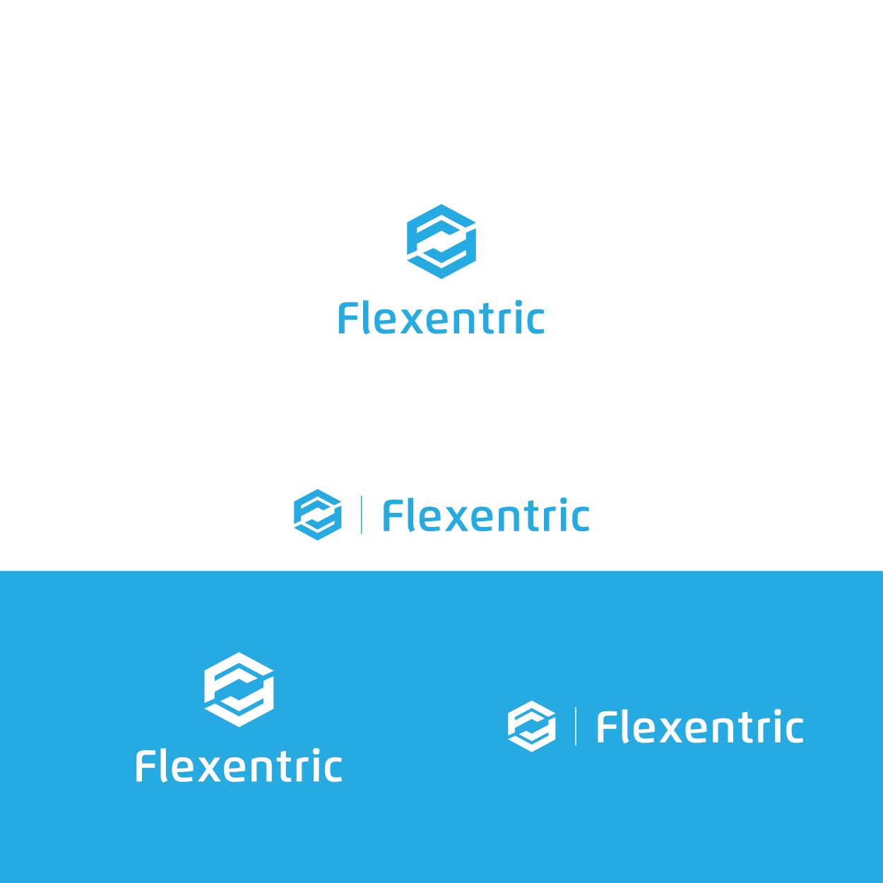 Logo Design by Markelof for Flexentric Bvba | Design #17490940
