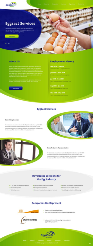 Web Design by pb for EggZact Services | Design: #17503173