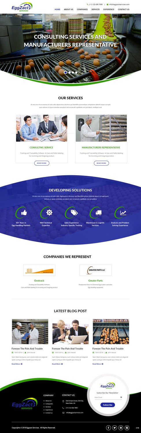 Web-Design von pb für EggZact Services | Design #17503176