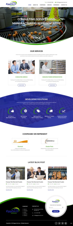 Web Design by pb for EggZact Services | Design: #17503176