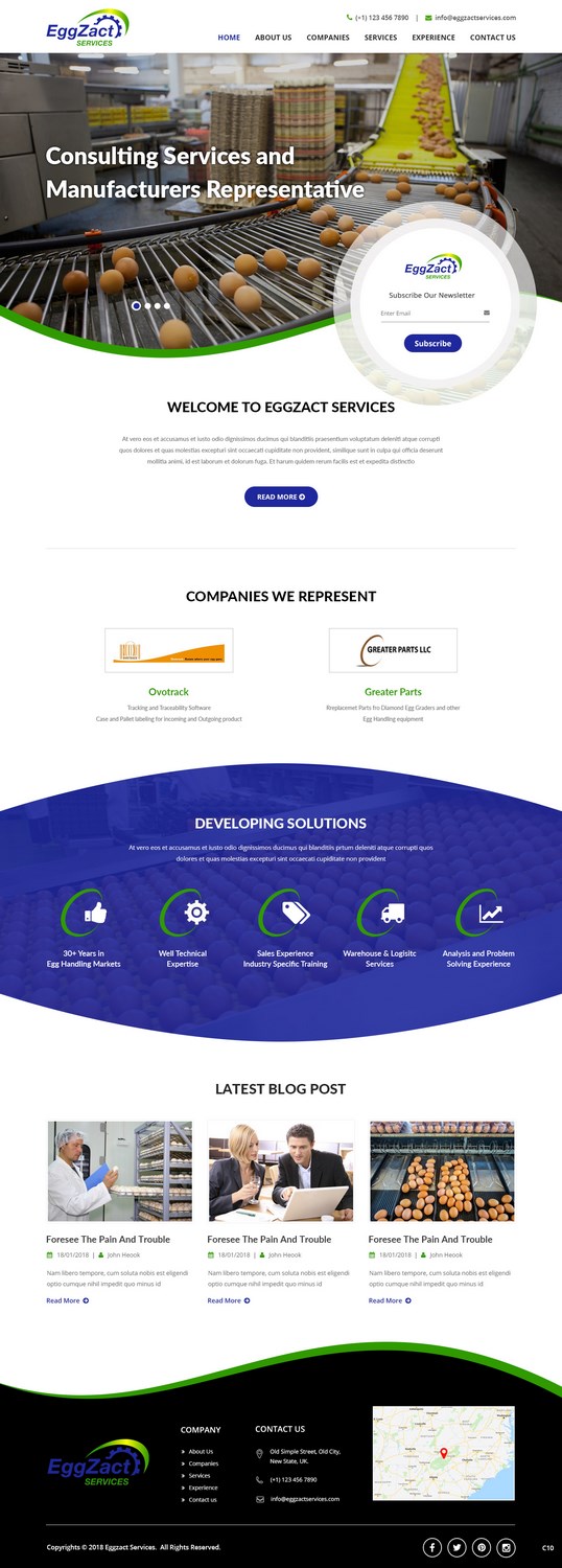 Web Design by pb for EggZact Services | Design #17503177