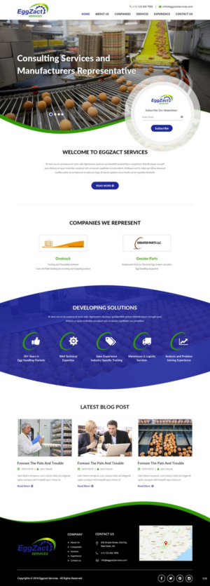 Web Design by pb for EggZact Services | Design: #17503177