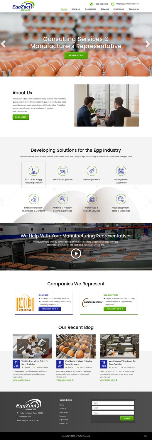Web Design by pb for EggZact Services | Design #17503191