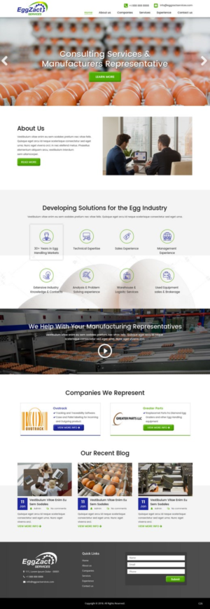 Web Design by pb for EggZact Services | Design: #17503191