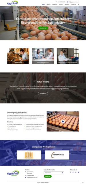 Web Design by pb for EggZact Services | Design: #17503212
