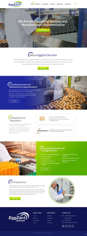 Web Design by pb for EggZact Services | Design: #17503214