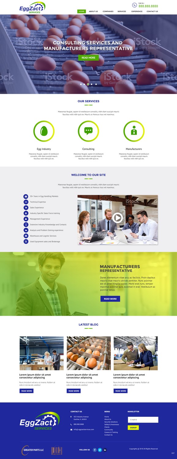 Web Design by pb for EggZact Services | Design #17503215