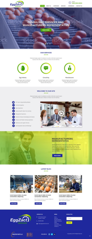 Web Design by pb for EggZact Services | Design: #17503215