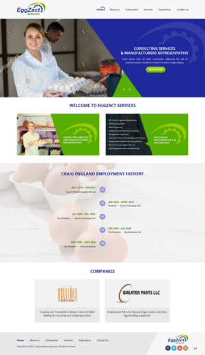 Web Design by pb for EggZact Services | Design: #17503216