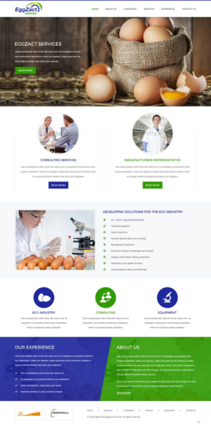 Web Design by pb for EggZact Services | Design: #17555094