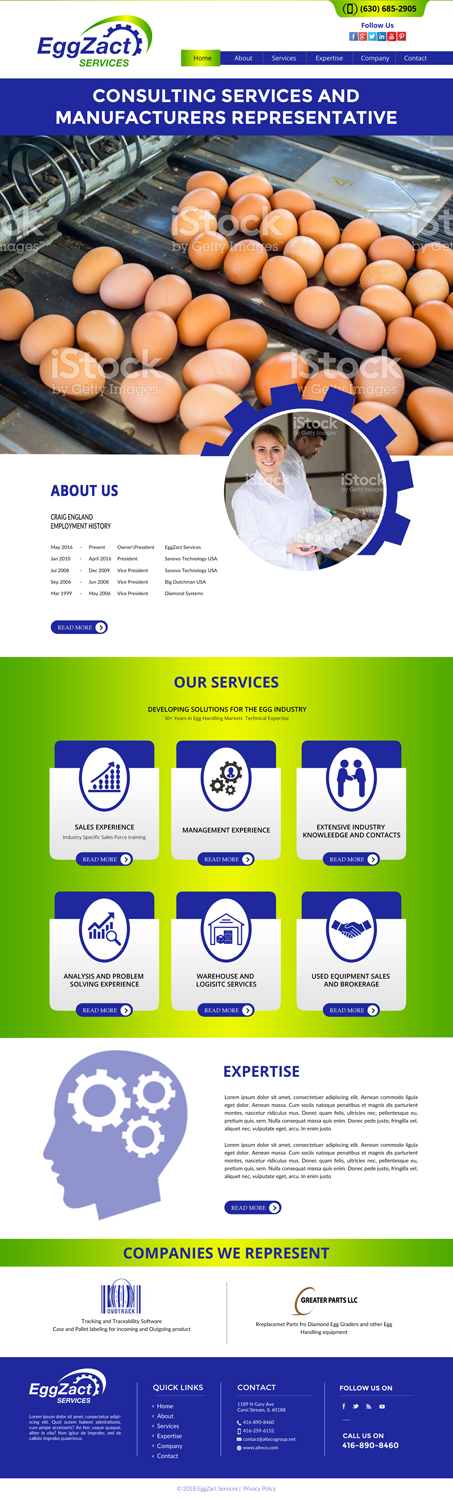 Web Design by chandrayaan.creative for EggZact Services | Design #17502126