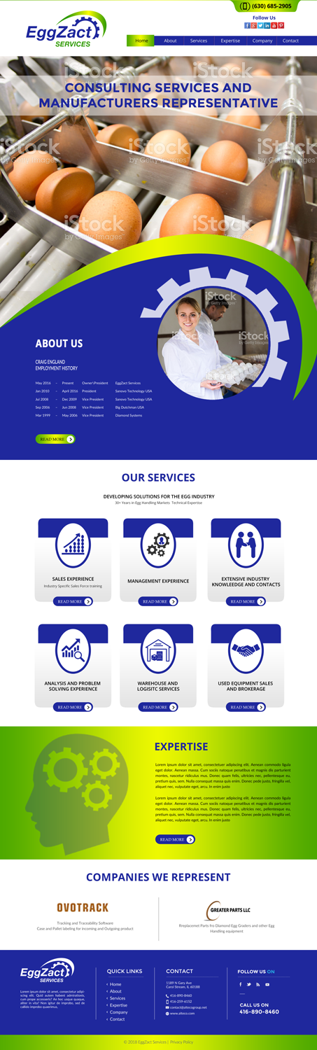 Web Design by chandrayaan.creative for EggZact Services | Design #17502127