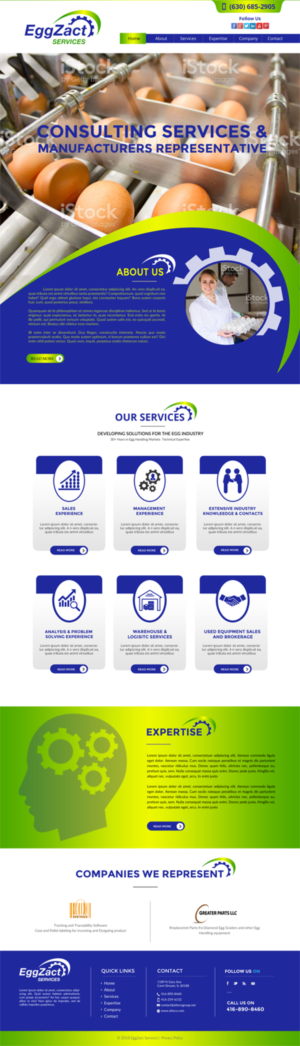 Web Design by chandrayaan.creative for EggZact Services | Design: #17525630