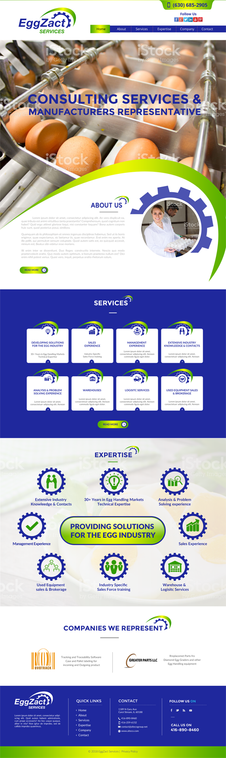 Web Design by chandrayaan.creative for EggZact Services | Design #17525674