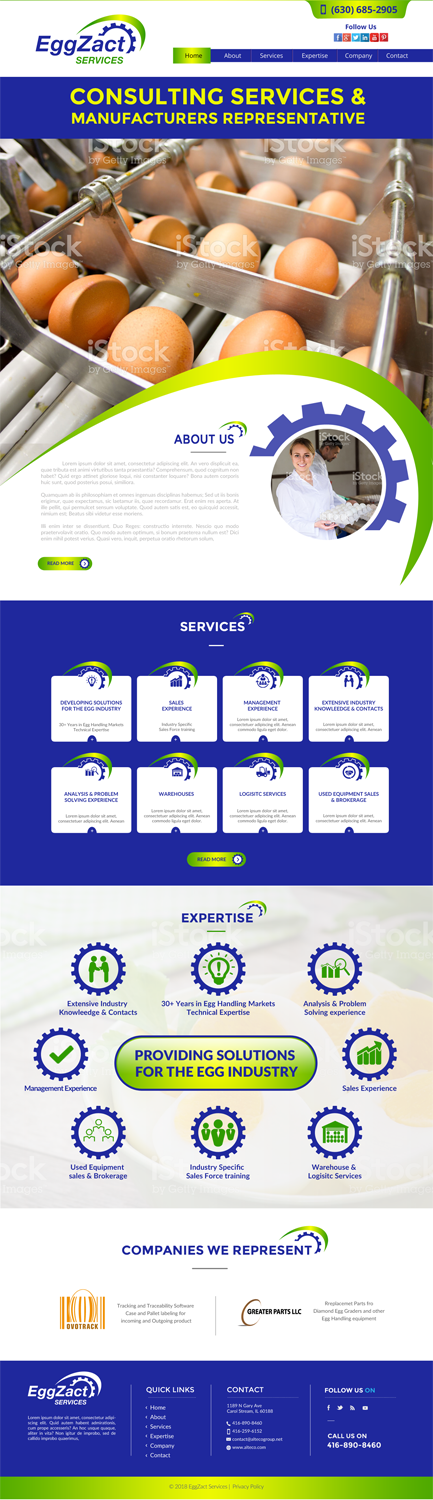 Web Design by chandrayaan.creative for EggZact Services | Design #17525747