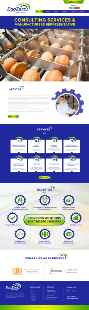 Web Design by chandrayaan.creative for EggZact Services | Design: #17525776
