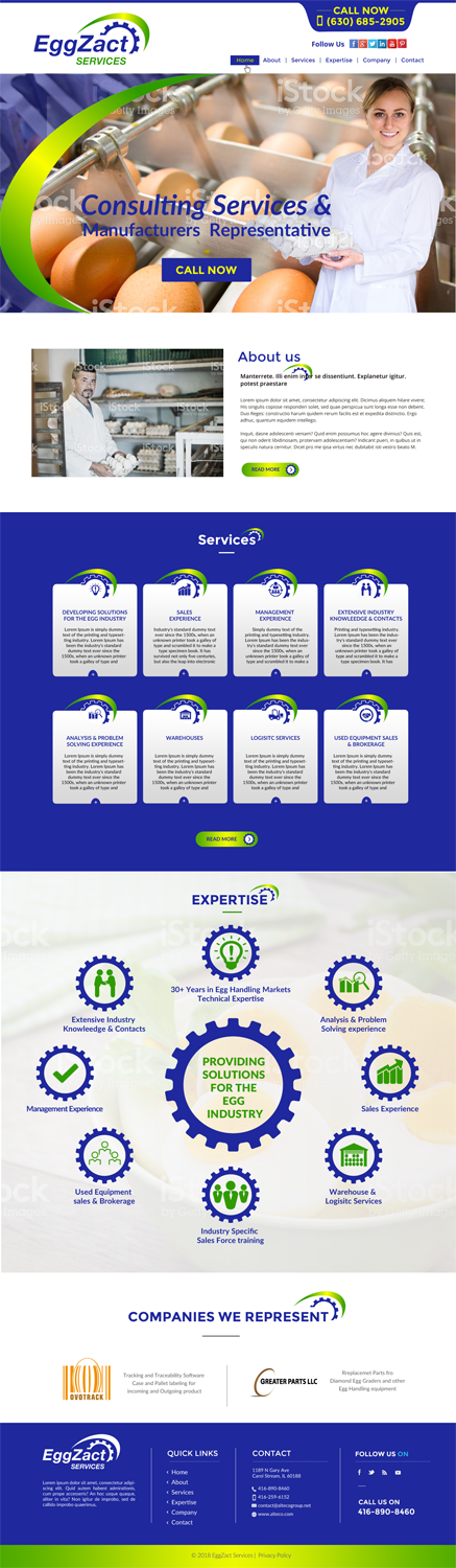 Web Design by chandrayaan.creative for EggZact Services | Design #17527511