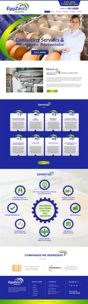 Web Design by chandrayaan.creative for EggZact Services | Design: #17527511