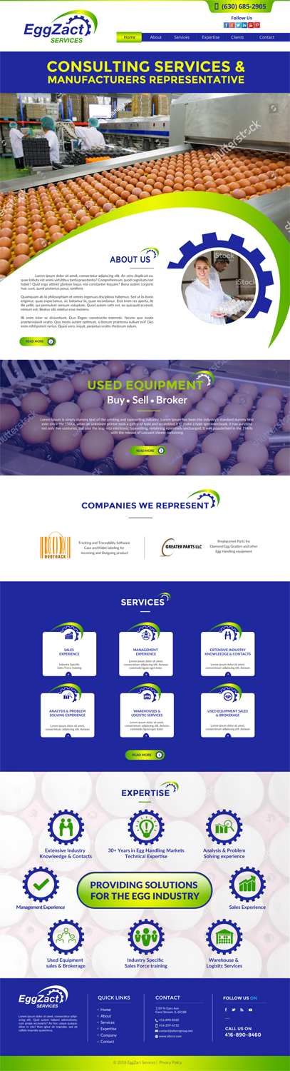 Diseño Web por chandrayaan.creative para EggZact Services | Diseño #17547788